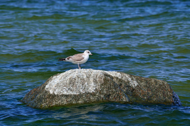 Similar image 6623430