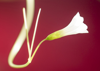 Similar image 6623451