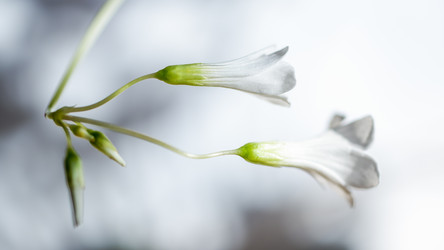 Similar image 6623452