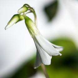 Similar image 6623460