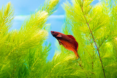 Similar image 6623723