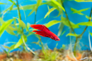 Similar image 6623724