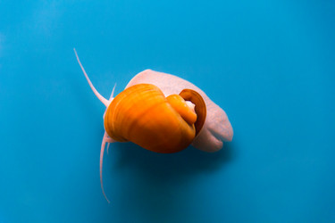 Similar image 6623725