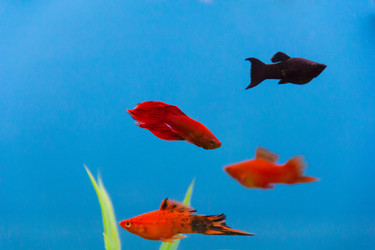 Similar image 6623726