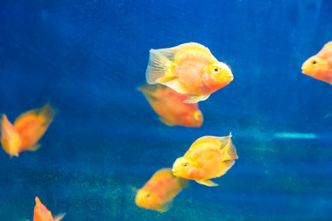 Similar image 6623732