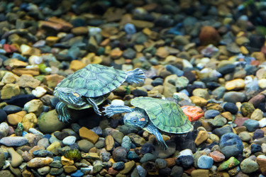 Similar image 6623734