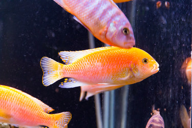 Similar image 6623738