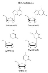 Similar image 6623801