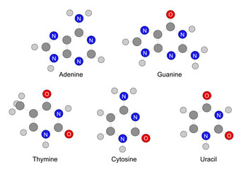 Similar image 6623804