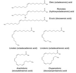 Similar image 6623807