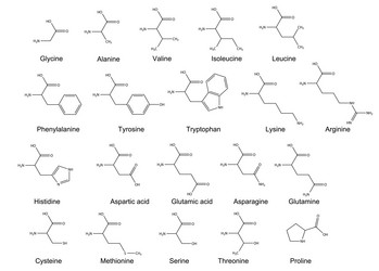 Similar image 6623825