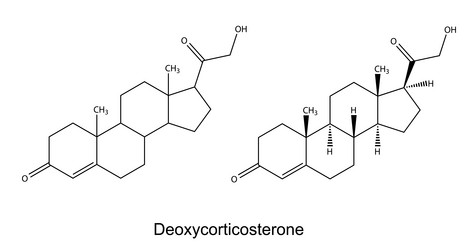 Similar image 6623840