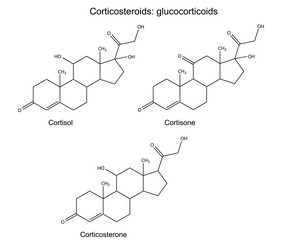 Similar image 6623841