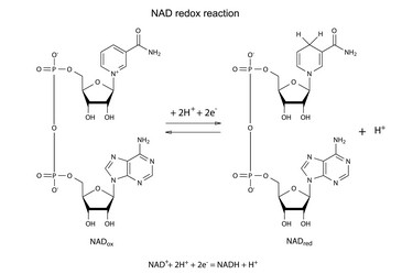 Similar image 6623846