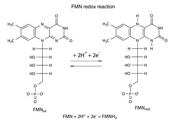 Similar image 6623847