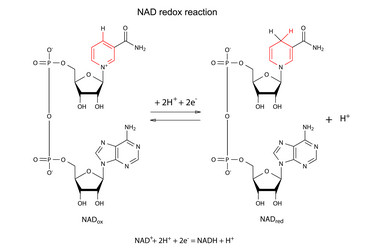 Similar image 6623850