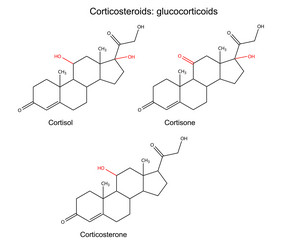 Similar image 6623852