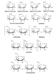 Similar image 6623854