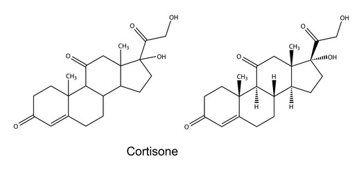 Similar image 6623865