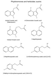 Similar image 6623922