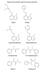 Similar image 6623923