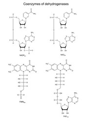 Similar image 6623925