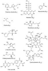 Similar image 6623927