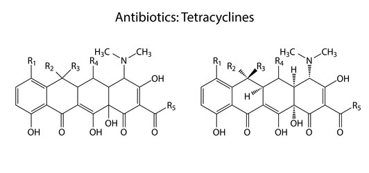 Similar image 6624019