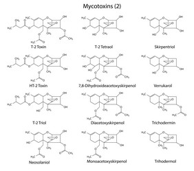 Similar image 6624022