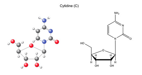 Similar image 6624033