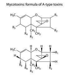 Similar image 6624057