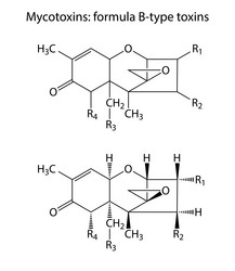 Similar image 6624059