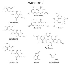 Similar image 6624069