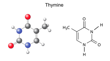 Similar image 6624134