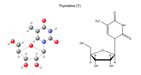 Similar image 6624167