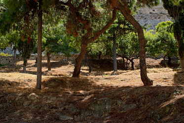 Similar image 6624189