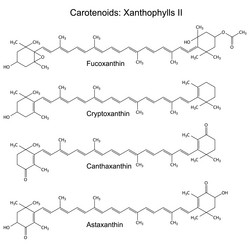 Similar image 6624237