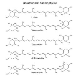 Similar image 6624244