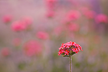 Similar image 6624286