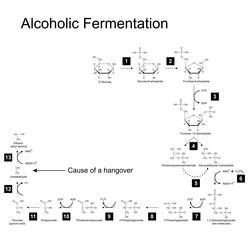 Similar image 6624296