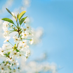 Similar image 6624299