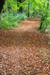 Similar image 6624324