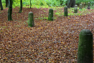 Similar image 6624325