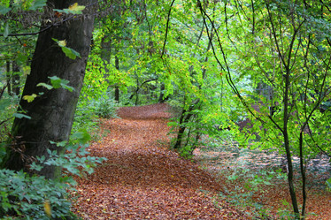 Similar image 6624326