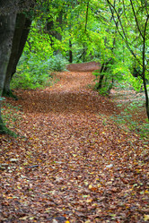 Similar image 6624327