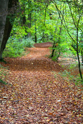 Similar image 6624328