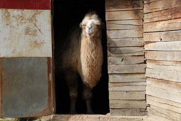 Similar image 6624329