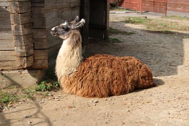 Similar image 6624330