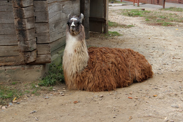 Similar image 6624331