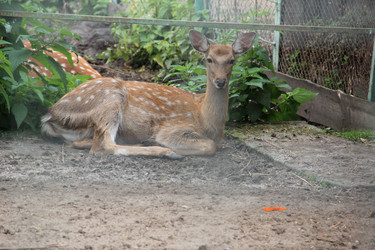 Similar image 6624332